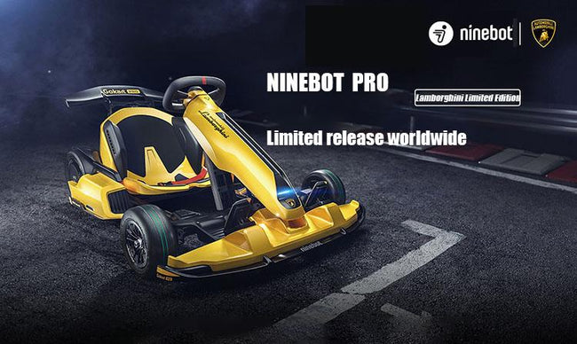Ninebot GoKart Pro